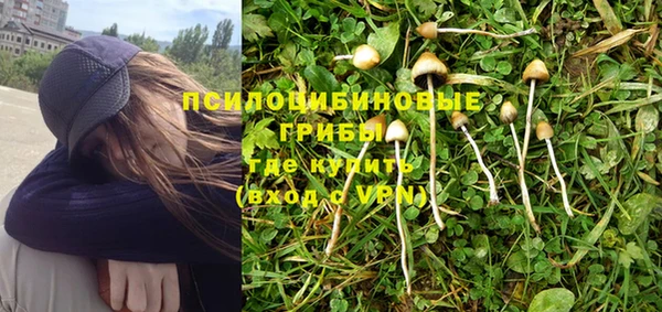 мет Кодинск