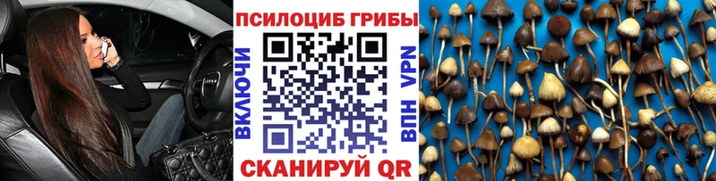 Купить закладки  Черногорск  Галлюциногенные грибы ЛСД 