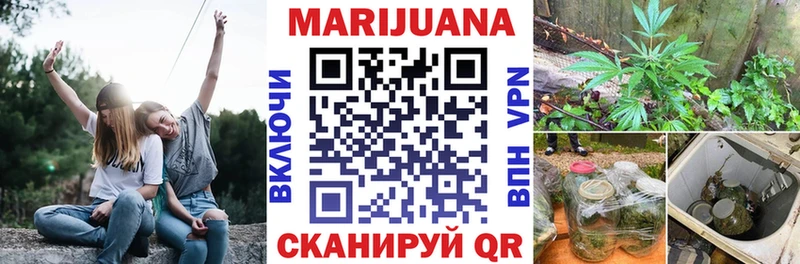Купить закладки  Черногорск  Каннабис индика 